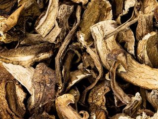 I sell fresh, dried, frozen mushrooms and in a