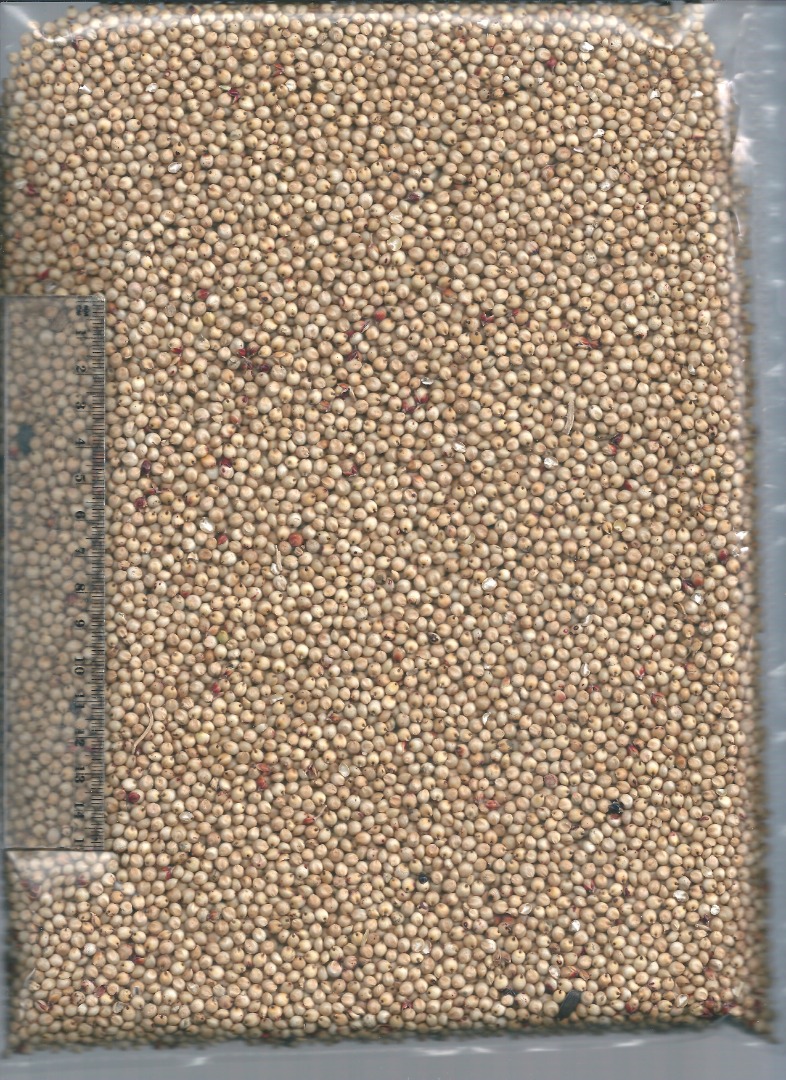 I will sell Hungarian white and red sorghum from the 2023 harvest