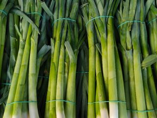 I will sell leeks for Italian food. Prepared for