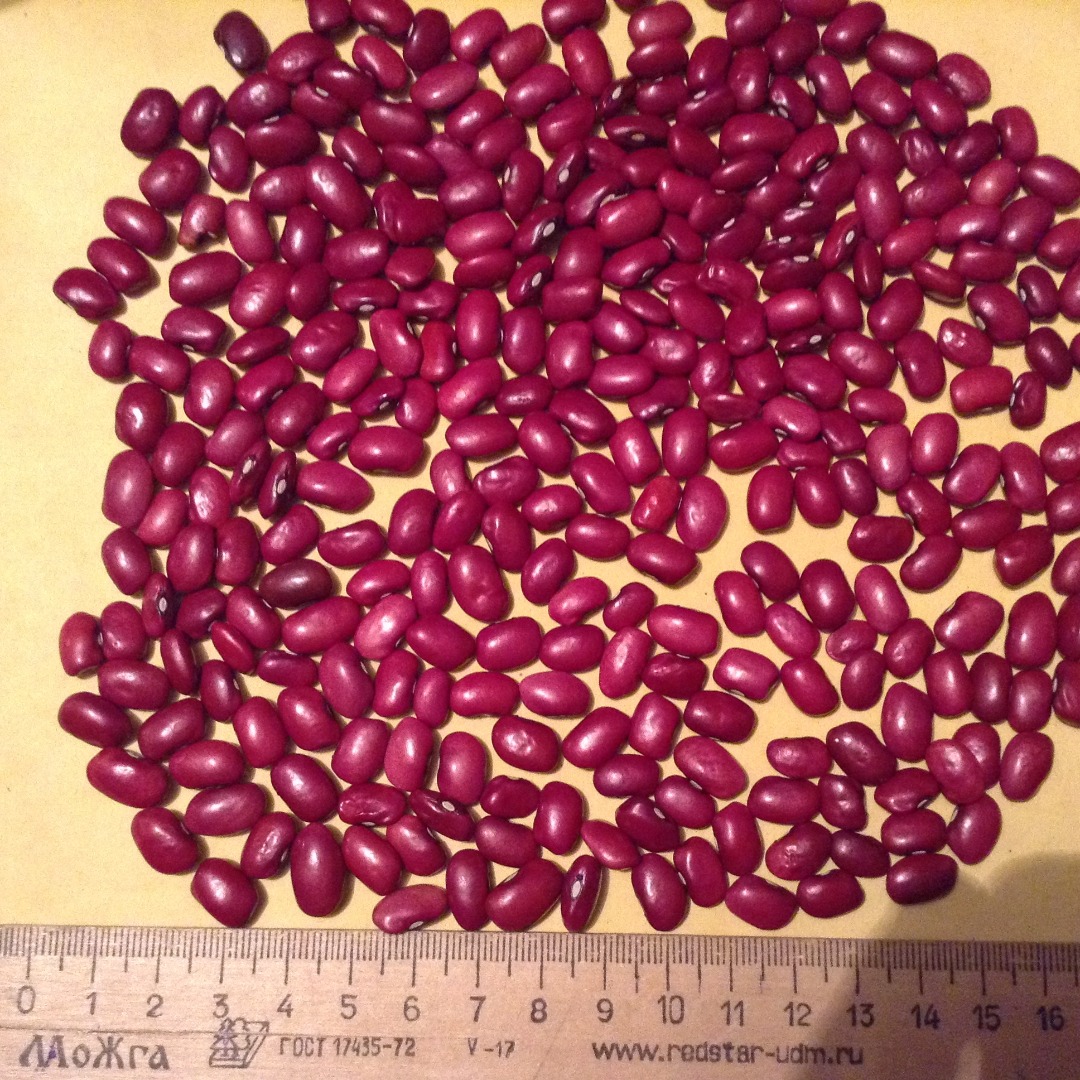 Various varieties of beans are available for sale