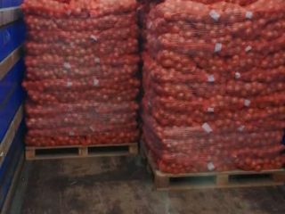 The company carries out wholesale sales of onions, harvest
