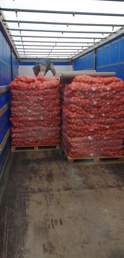 The company carries out wholesale sales of onions, harvest 2023, to EU countries