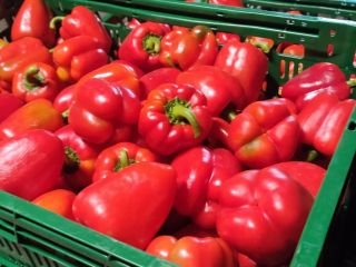 I will sell nice, fresh, second-class peppers with tails.