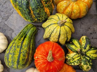 I will sell decorative pumpkins in large quantities. Festival,