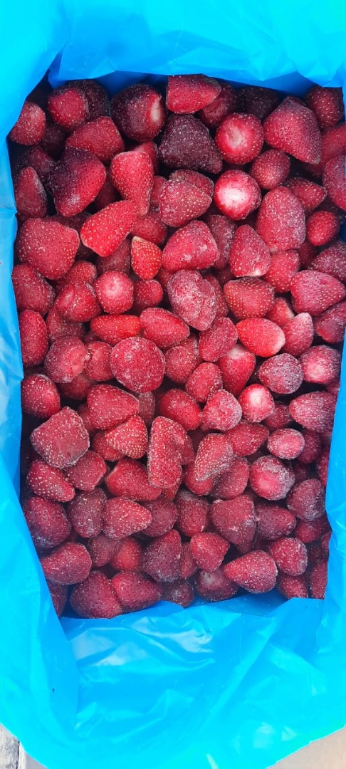 Frozen strawberries grade A uncalibrated perfect quality from our farm