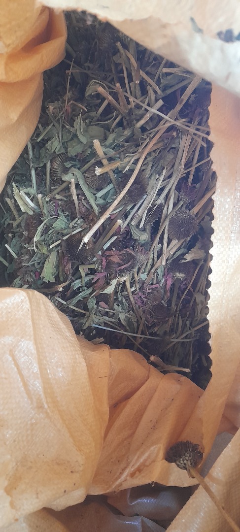 I am selling the herb Echinacea purpurea whole stem, with organic certificate
