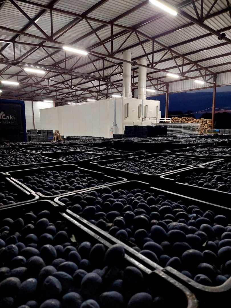 I am selling 70 tons of prunes