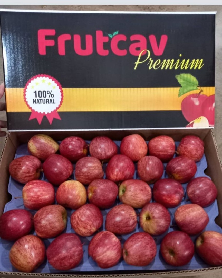 Vendo container de maçãs que saem da serra catarinense aqui no Brasil são maçãs de ótima qualidade, venha nos conhecer e negociar essas lindas maçãs
