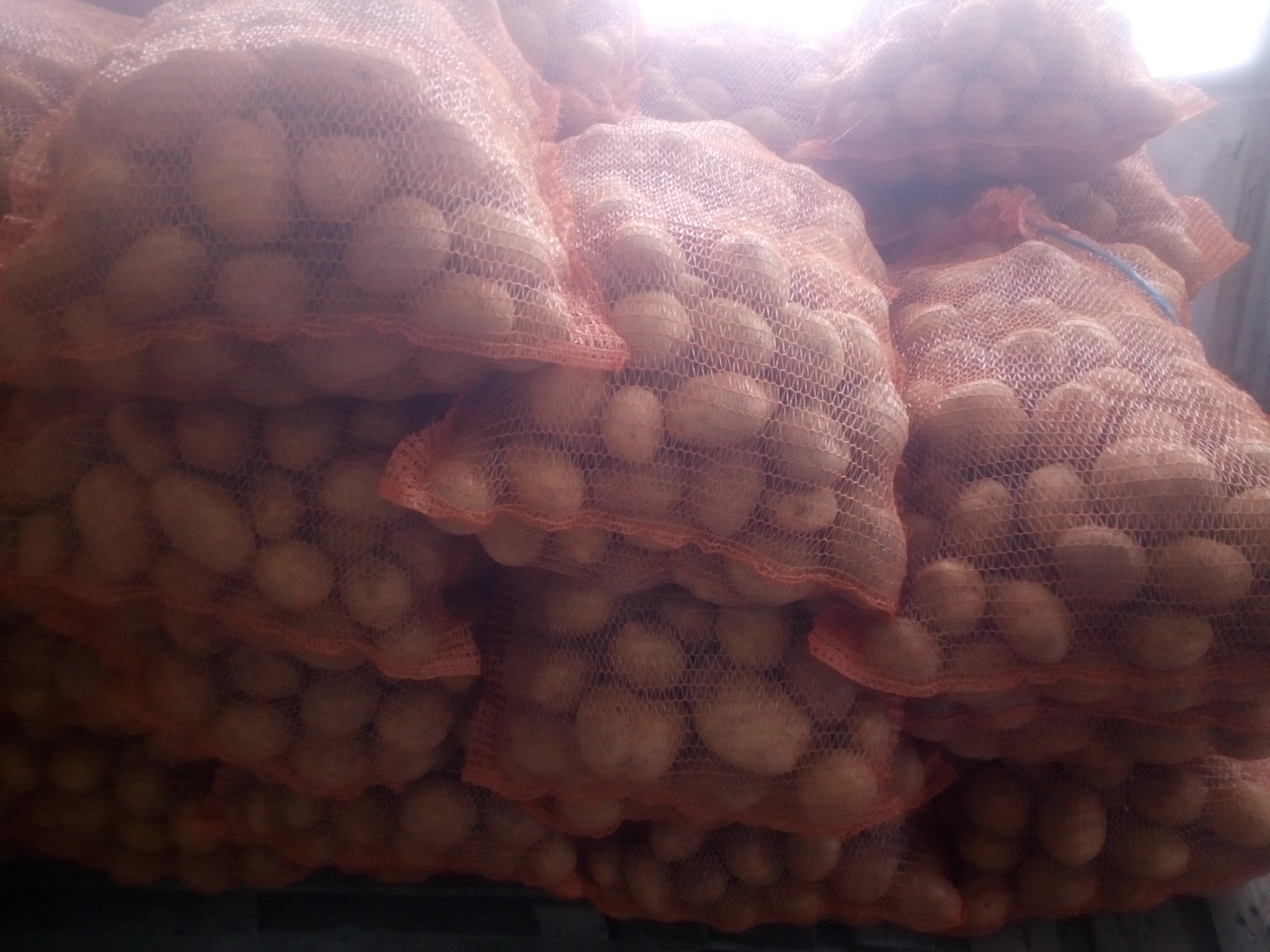 I will sell edible potatoes of the Mariola variety