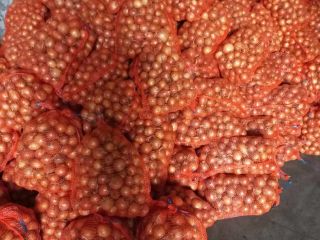 I will sell yellow onions, size 4+, 15 kg