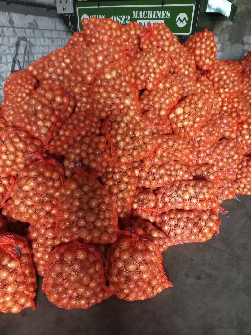 I will sell yellow onions, size 4+, 15 kg bag, sewn or tied lengthwise, quantities to be agreed