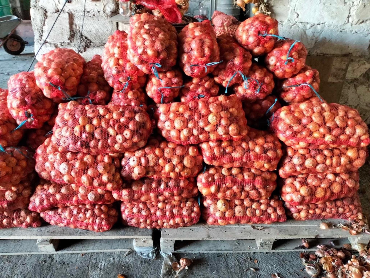 I am selling onions wholesale, harvest 2023, Romanian product, I have 5-6 t