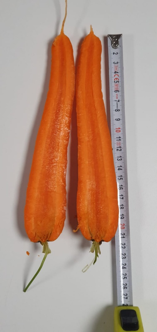 Carrots from the Norway and Nacton varieties