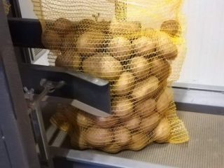 Hello . I will sell edible potatoes - Gala