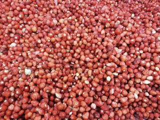 I will sell high-quality frozen wild strawberries Quantity 4