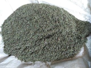 Cleaned thyme for sale, autumn harvest 2023