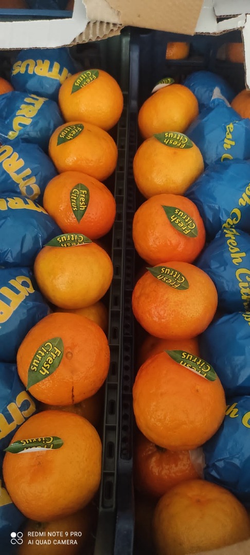 I will sell tangerines in wholesale quantities