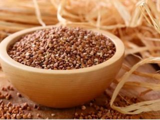 Semola di grano saraceno del produttore "Dar Zemli" LLC,