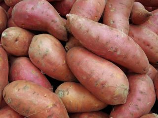 I will sell sweet potatoes in wholesale quantities. Packed