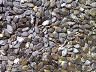 I am selling shellless pumpkin seeds, Gleisdorfer variety.