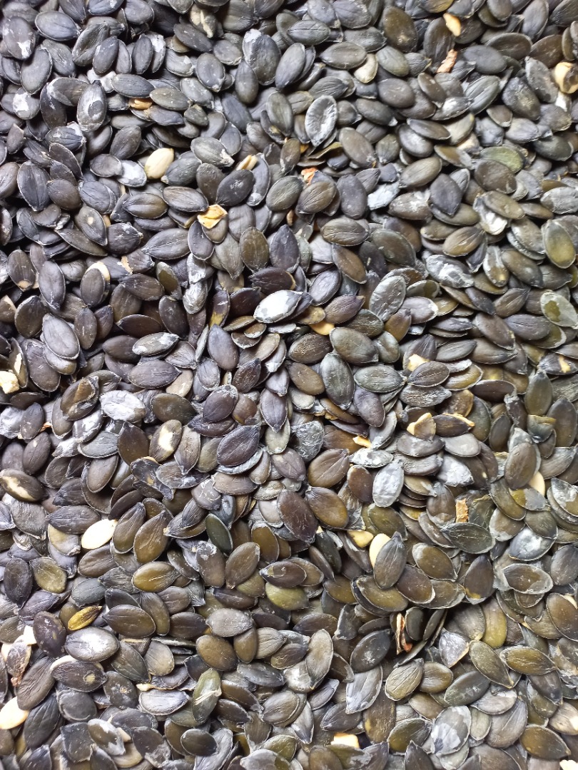 I am selling shellless pumpkin seeds, Gleisdorfer variety