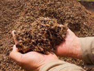 I will sell palm kernel cake. Packed in 40