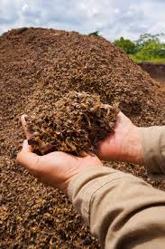 I will sell palm kernel cake