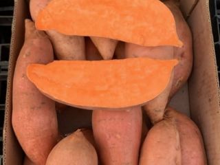 Direct sourcing top quality sweet potatoes from Egyptian farms.