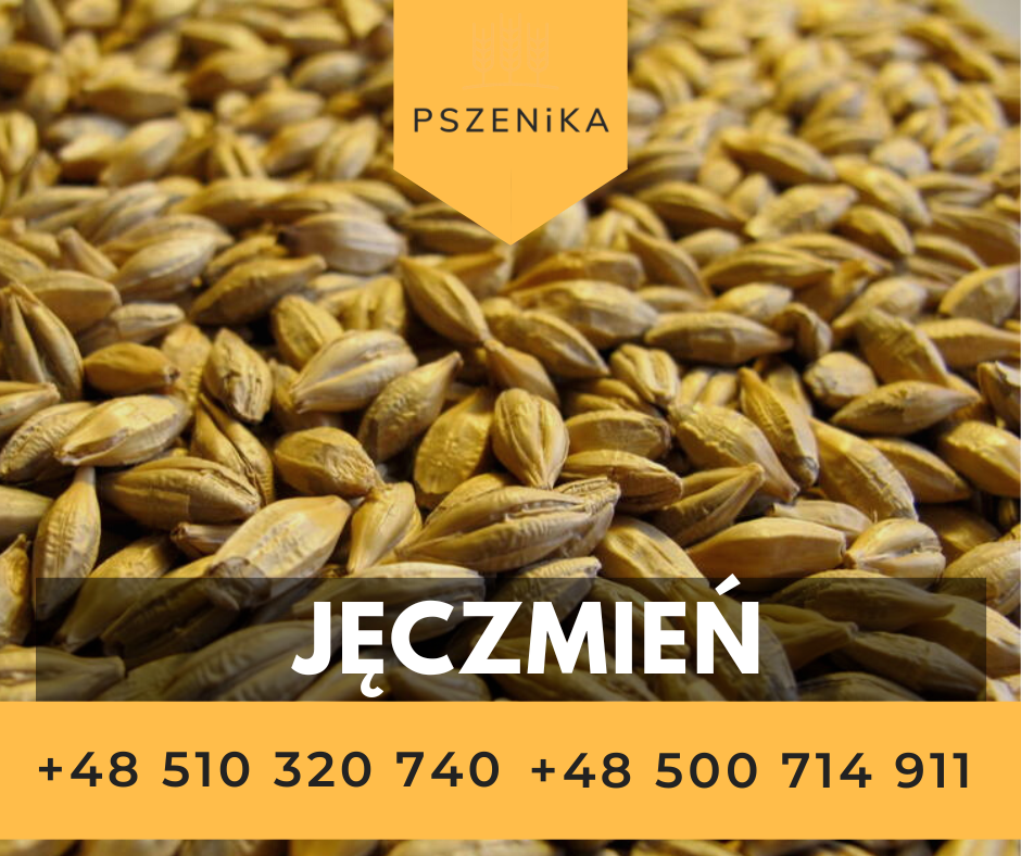 I will sell wheat, barley, triticale, corn