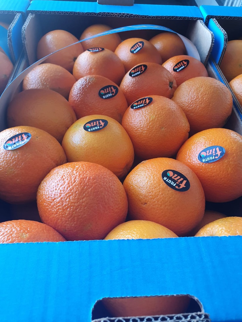DIRECTLY FROM THE MANUFACTURER Greece oranges grade 1, price 0.90 euro/kg Greece oranges grade 2 price 0.80 euro/kg Greece oranges Valencia variety for juice