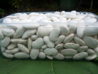 large white beans, 70-80 pieces/kg, produced using ecological methods,