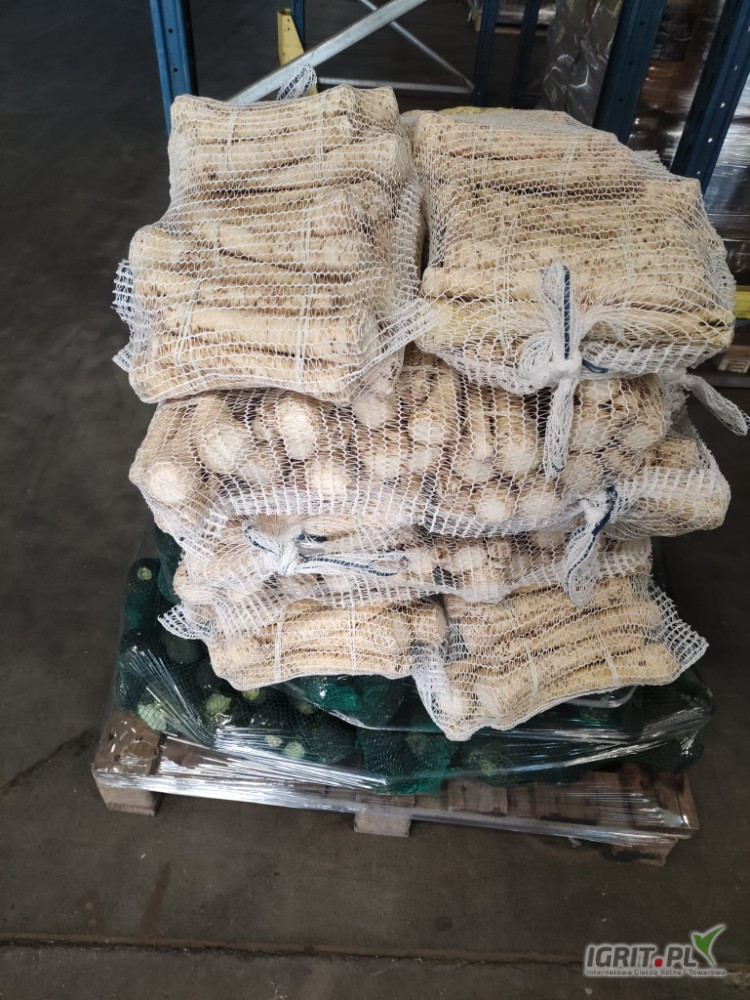 Hello, I offer you vegetables BEET POTATO CABBAGE CELERY PARSLEY CARROTS ONION Black Turnip Horseradish Bile Turnip a large selection of packaging we have