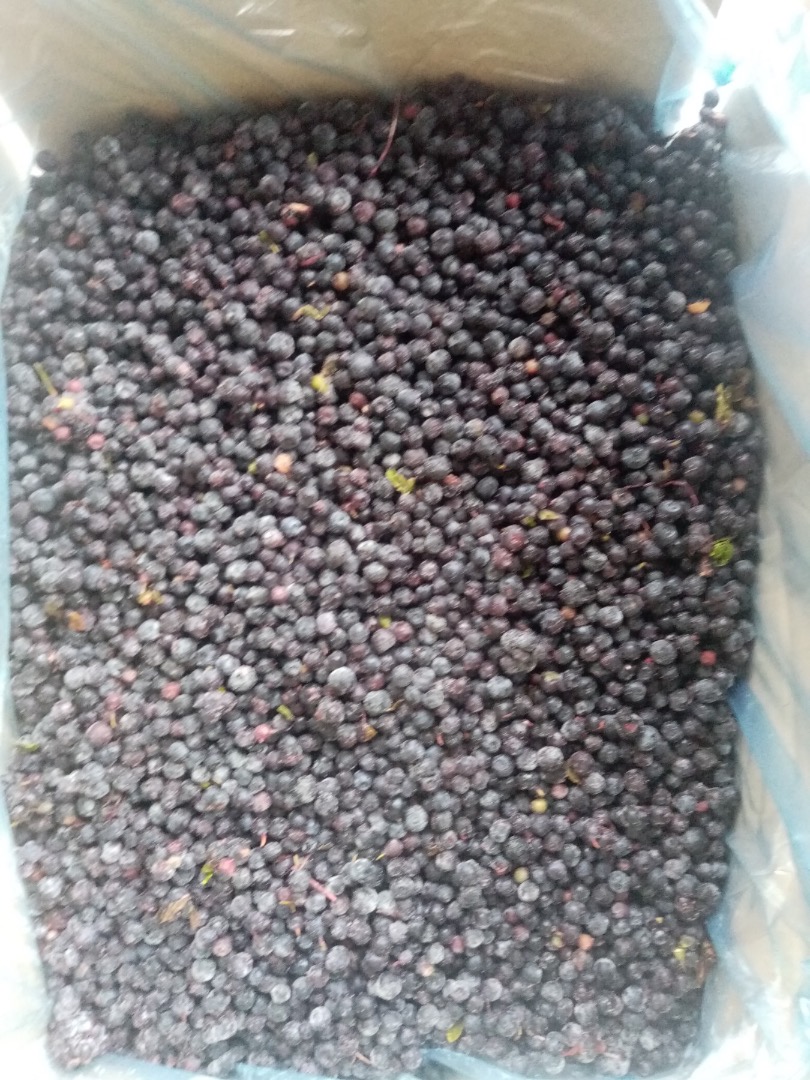 Wild blueberry