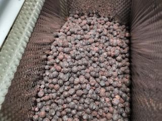 IQF Bilberry A class packing 20 bag price 3,2€