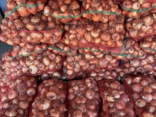 Romanian Onion Packed in 10 KG bags