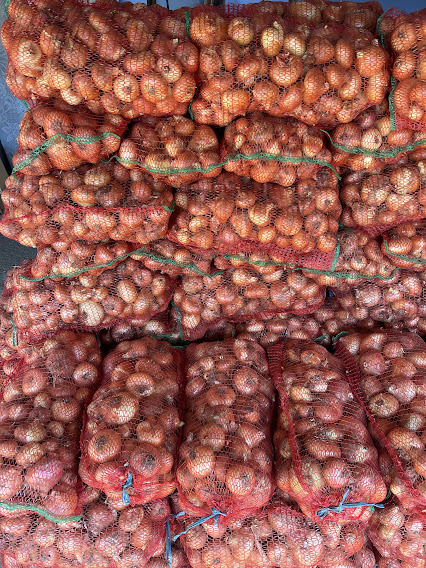 Romanian Onion Packed in 10 KG bags