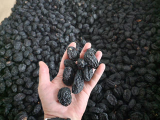 Here is the advertisement for the sale of dried plums, showcasing both the varieties with pits and without pits