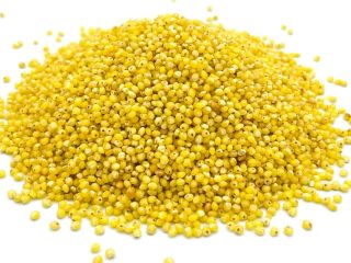 Hello. I will sell organic millet. I have tests