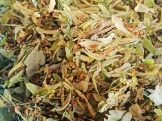 I am selling Linden blossom with BIO certificate, rosehip