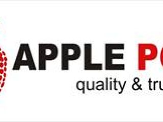We will sell Jonagored Jonagold Jonaprince apples, class I