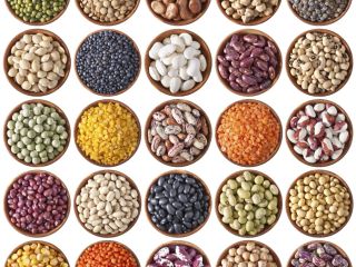 new seasons green mung beans and other all type