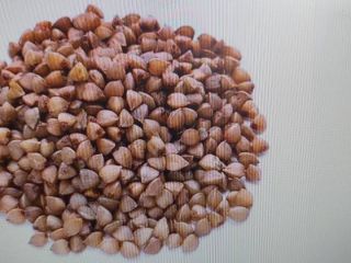 La nostra azienda si occupa di agricoltura biologica. I