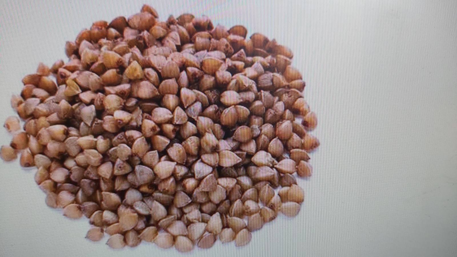 Our company is engaged in organic farming