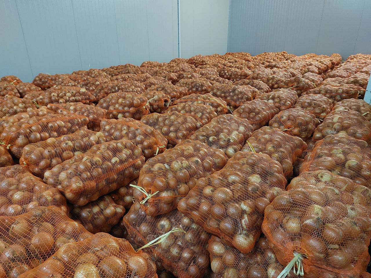 Onion Yellow 50+ Origin Romania Delivery in all country from Union Europe in condition DAP our warehouse in Bucharest/Romania and Barcelona/Spain