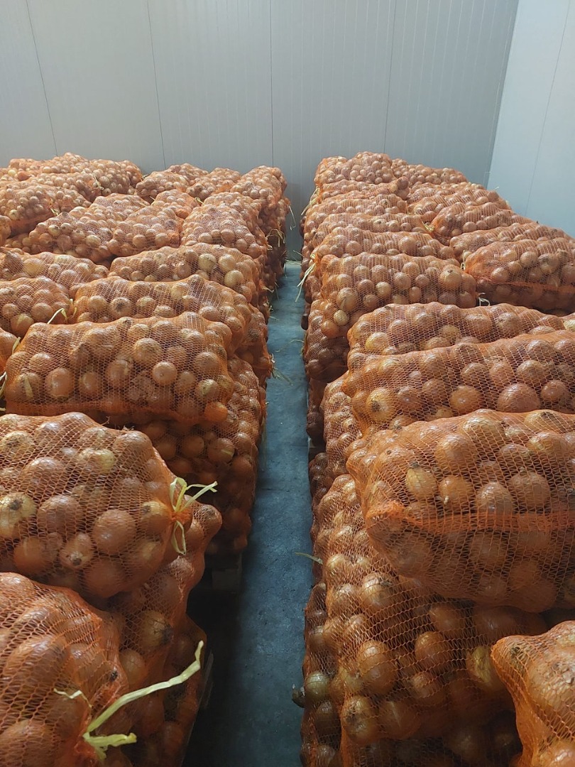 Onion yellow 50+ bag 10kg / 20kg warehouse in Barcelona / Spain and Bucharest / Romania