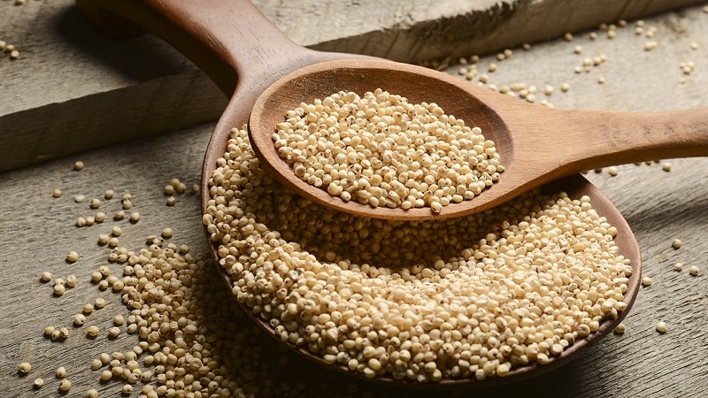 We have sorghum on sale at a competitive price