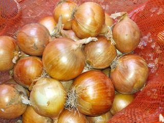 I will buy commercial onions and onions for peeling.