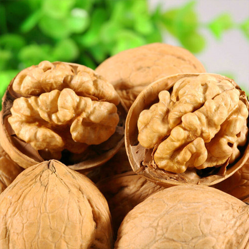 Selling wholesale Chandler variety walnuts