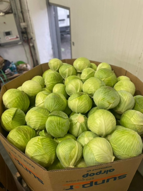 We offer cabbage
