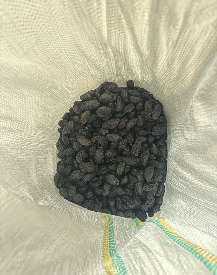 Vând prune uscate Stanley în cantități mari circa 150 tone, uscate natural, fără fum și fără adaos de zahăr